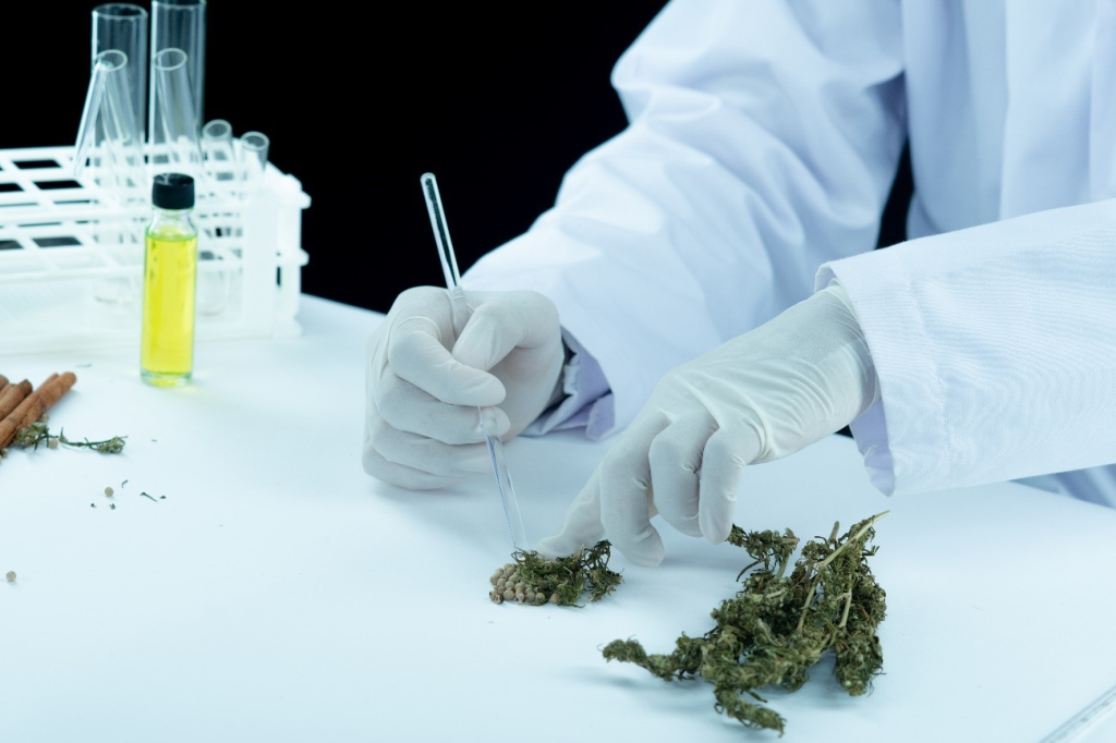合法？それとも違法？大麻由来のTHCと同じ効果を持つヘンプ由来THCのアメリカ事情