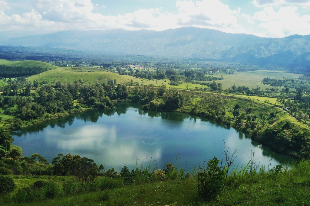 ウガンダで医療用大麻の栽培が正式にスタート